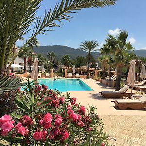 Petunia Ibiza (Adults Only)
